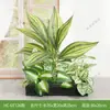 Combinación de paisajismo con plantas verdes artificiales, jardineras, maceteros, decoraciones de flores artificiales, decoración de paisaje con plantas artificiales para escaparates de centros comerciales, interior y exterior
