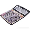 Deli 1559 Calculadora de Voz Negocios Pantalla Grande Pronunciación Humana Computadora Multifunción Grande Comercial