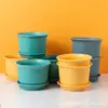 Maceta Corrugada Orquídea Maijia Maceta Creativa Distintiva para el Hogar Maceta para Carnes Maceta de Plástico Mediana Grande para Jardinería