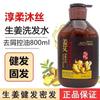 Chunrou Mushi Champú de Jengibre Viejo Anticaspa Antipicazón Fortalecedor Cabello Unisex Extracto Jengibre Ai Champú de Jengibre Jugo Calentamiento