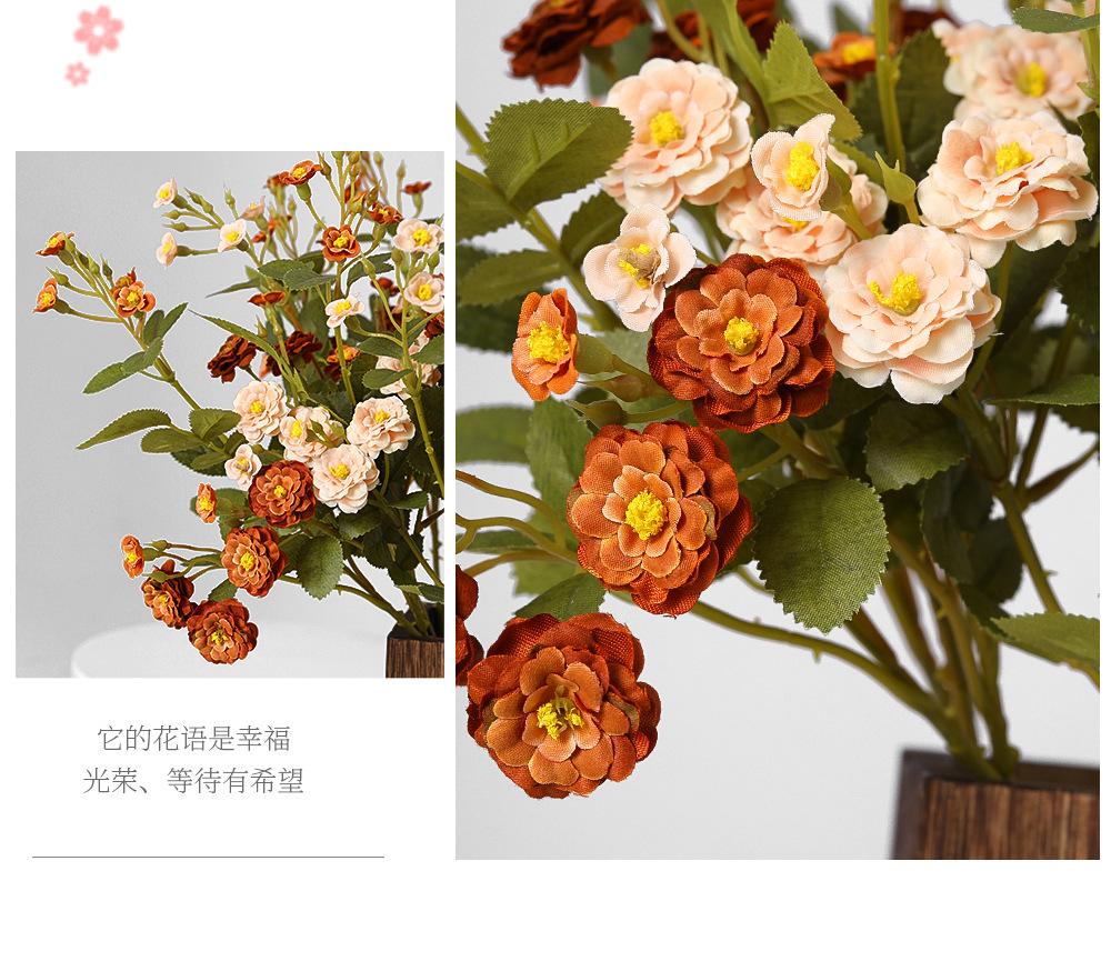 迷你小月季详情图