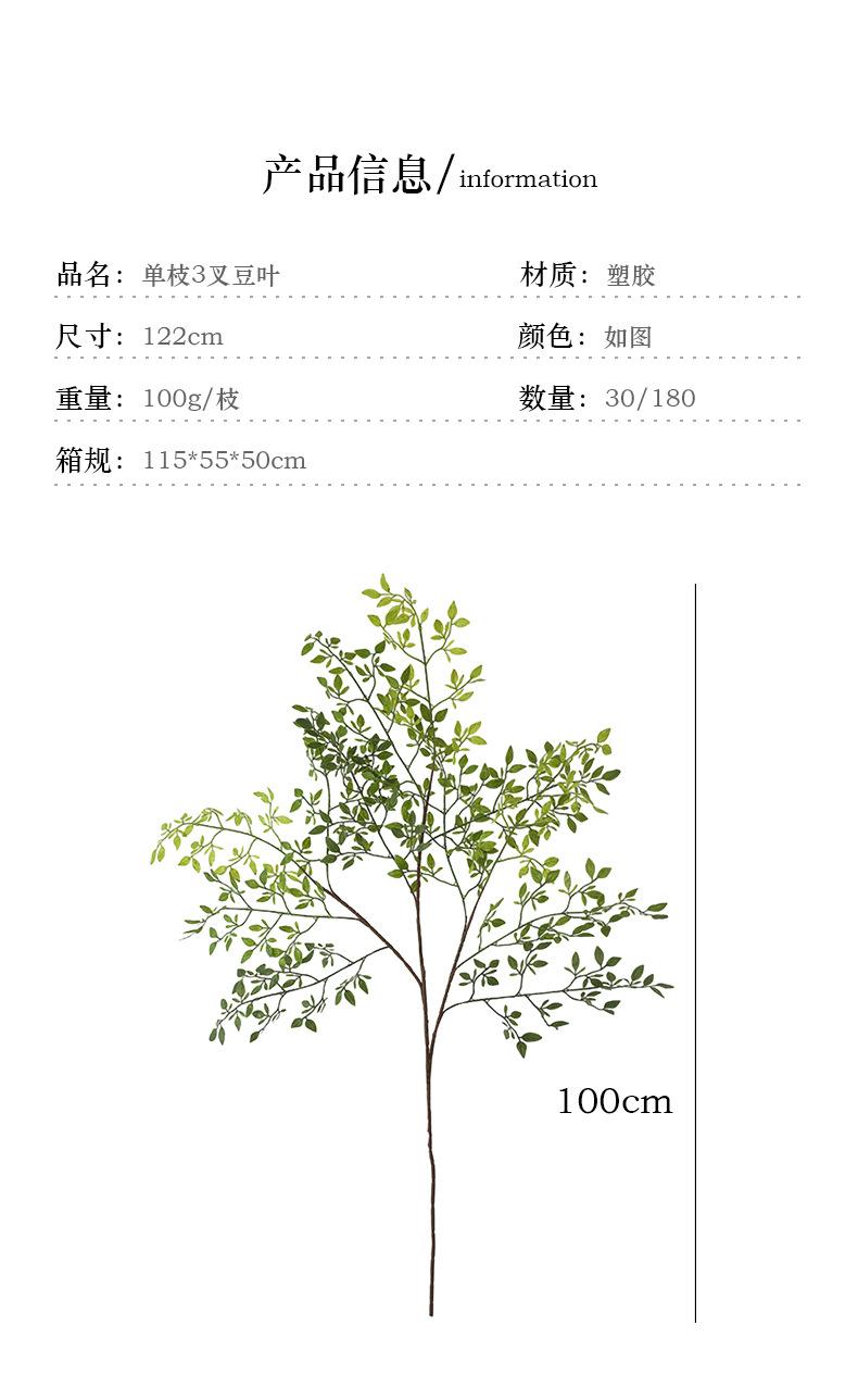 单枝3叉豆叶_03.jpg