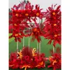 Flores Grandes de Chão para Casamento Flores de Seda Flores Decorativas Flores para Palco T Corredor Flores Penduradas Flores de Casamento Fundo de Flores