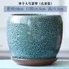 Vaso de Flor de Cerâmica Personalizado com Prato, Formato de Ovo, Tamanho Grande, para Plantas Verdes de Interior Como Jiboia, Planta-Aranha e Suculentas, para Uso Doméstico