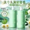 Beauty Road Aceite de Camelia con Sal Marina Control de Grasa Anti-Ácaros Anticaspa Anti-Picazón Refrescante Esponjoso Fragante Gel de Baño al por Mayor
