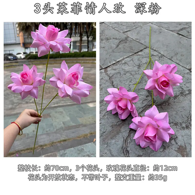 3头莱菲情人玫-详情_22.jpg