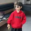 Sudadera para Niños Otoño 2026 Estilo Nuevo Top de Manga Larga de Otoño para Niños Ropa con Capucha Bordada para Bebé Estilo Primavera/Otoño Niño