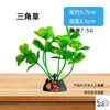 Arena para Acuario al por Mayor Decoración de Mesa de Arena Plantas Acuáticas Artificiales de Plástico Flores Falsas Paisajismo de Acuario Serie Cs