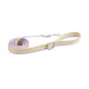 Arnés de Color Arcoíris con Bloques de Color Correa para Perro Transpirable para Perros Pequeños y Medianos Bichón Cuerda para Caminar Arnés para Perro Estilo Chaleco