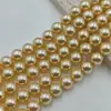 Perlas de Concha de Colores de Alto Brillo con Recubrimiento, Perlas de Imitación Swarovski de Alto Brillo, Perlas Edison, Cuentas Redondas para Manualidades de Bisutería