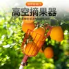 Recogedor de Frutas Telescópico de Gran Altura Más Vendido Transfronterizo, Canasta de Frutas, Herramienta para Recoger Frutas para Duraznos y Uvas, Herramienta de Recolección para Jardín, Gadget para Recoger Frutas