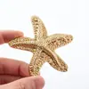 Suministro Directo Ropa Aleación de Zinc Estilo Marino Pin Parte Frontal del Pecho del Traje de Baño Broche de Neptuno Bikini Decoración Estrellas de Mar Estéreo