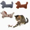 Novo brinquedo para gato em formato de um adorável filhote de dachshund, contém catnip e papel crocante