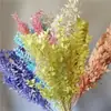 Hojas Ricas al por Mayor, Flores Inmortales, Flores Secas, Arreglos de Boda, Decoración del Hogar, Arreglos Florales, Paquetes de Materiales Florales para DIY, Flores Inmortales Transfronterizas