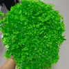 Flores Preservadas Anna Hortênsia Buquê Seco Flores Preservadas Yunnan Folhas Pequenas Multicolorido DIY Decoração de Casa Transfronteiriço Yunnan
