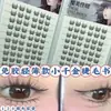 Pegamento para Pestañas Yingmeijia Sin Pegamento Escamas Pequeñas Pestañas Xia Qianjin Segmentadas Rizadas Pestañas Postizas de Racimo Único Recomendado por Maquilladores