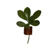 ^Diy Atmósfera Creativo Decorativo Imán Tubo de Ensayo Zakka Florero Madera Maciza de Gama Alta Arreglo Floral Imán Magnético para Refrigerador