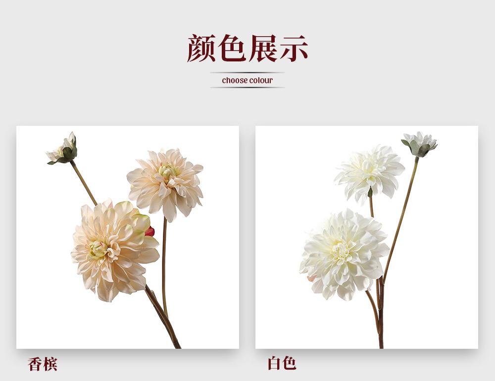 2-13.春秋3头大理花_03.jpg