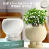 Vaso de Cerâmica para Flores com Prato, Estilo Ins de Luxo Leve, Diâmetro Grande, Estilo Creme, para Orquídeas e Suculentas, Liquidação