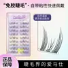 Zhixian/Para Xian Cola Grátis Elfo Gato Cílios Postiços Livro Autoadesivo Grátis Iniciante Super Macio Cacho Único Desejo Puro LL001