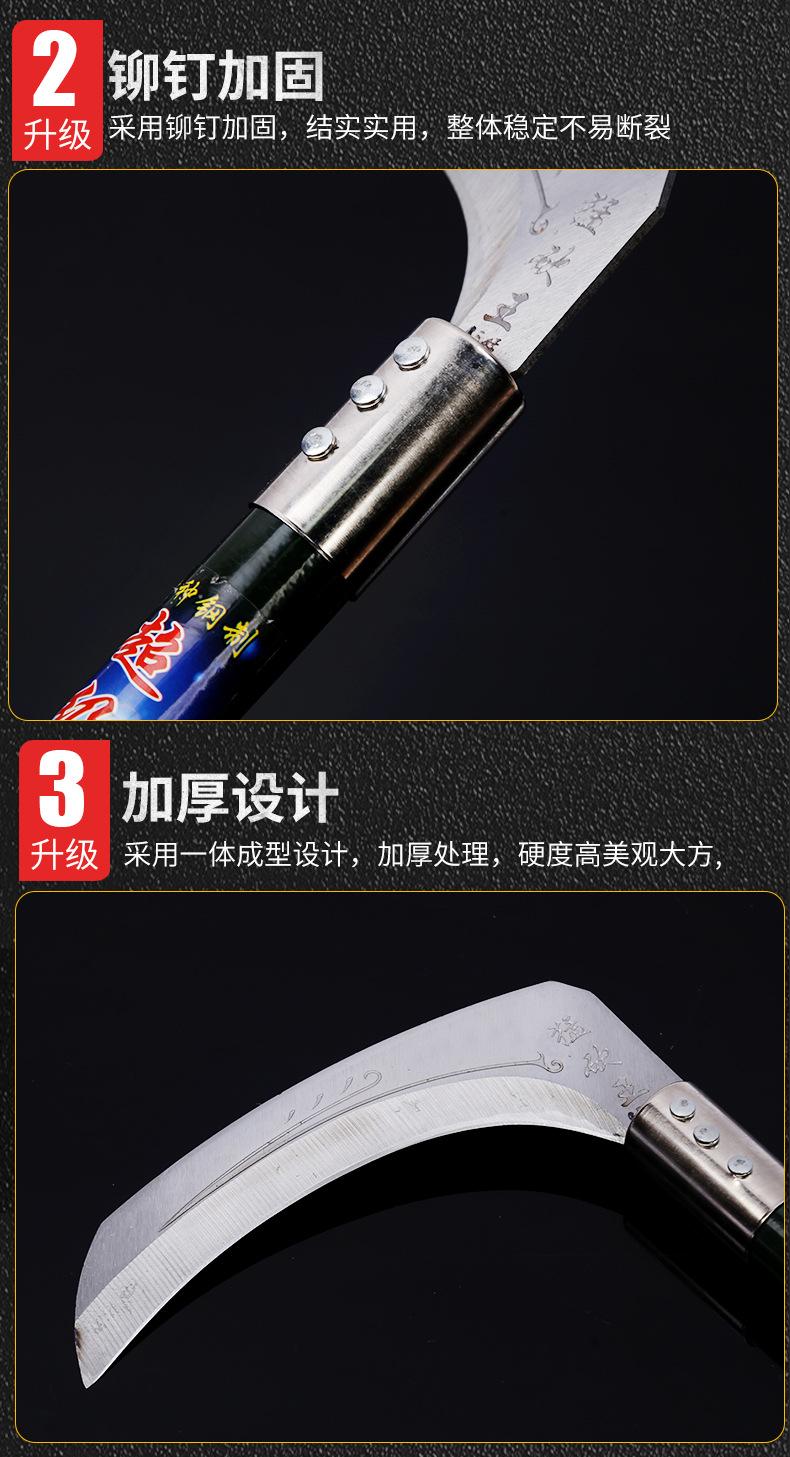 详情_13