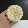 Acessório de Moda de Seda de Alta Qualidade 8cm Flor de Camélia Ultra-Resistente com Broche e Presilha Dupla Utilização