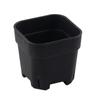 Maceta cuadrada poco profunda extra gruesa de especificaciones múltiples jardinería maceta de plástico cuadrada maceta para suculentas suculenta negra blanca transparente esqueje