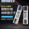 Zhengtai R015 fusible cerámico 20A 14 núcleos de fusible tipo tubo RT28-32 núcleo de 6a 10 * 38mm10A