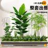 Gran simulación de diseño combinado de paisaje verde interior plantas verdes falsas biónicas avanzadas debajo de las escaleras adornos de árboles decorativos