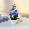 Simulación Bonsái de Phalaenopsis de Tres Hojas Flor Artificial con Película 3D Planta en Maceta Decoración Interior Simulación Maceta Verde Venta al por Mayor