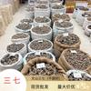 Panax Notoginseng de Wenshan, Yunnan, Todas las Especificaciones, 1 kg, Gran Cantidad, Excelente Precio, Polvo de Panax Notoginseng al Por Mayor, Tabletas, En Stock a Granel
