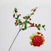 Simulação transfronteiriça planta verde planta florestal ramo de framboesa baga vermelha fruta silvestre sala de estar arranjo de flores decorações florais suaves