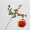 Simulação Transfronteiriça Planta Mori Fruto Framboesa Galho de Fruta Fruta Selvagem Fruto Acácia Sala de Estar Arranjo de Flores Decorações de Mesa Floricultura de Casamento