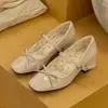 Sapatos Femininos Exquisitos Franceses 2026 Primavera Novo Estilo Mary Janes de Uma Tira Sapatos Pequenos de Couro para Combinar com Saias Sapatilhas Delicadas