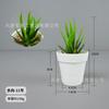 Conjunto de Bonsai de Suculentas Artificiais Transfronteiriço, Estilo Ins Mini Suculenta Artificial Planta Verde Pequeno Bonsai para Home Office