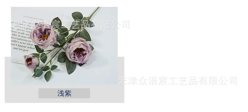 详情_04.jpg