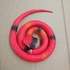Cobra de Borracha 75cm Brinquedo Cobra Venda Quente Simulação Truque Brinquedo Assustador Criativo Cobra de Borracha Macia Brinquedo de Barraca Lagarto