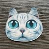 Tú. Broche acrílico de gato lindo de Corea del Sur, insignia de animal de dibujos animados, parche, alfiler para bolso, accesorios, alfiler, joyería pequeña