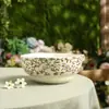 Juego de Té de Cerámica con Tazas, Platillos y Tetera para Uso Doméstico, Adecuado para Regalo, Serie de Rama y Vid de Cerámica con una Cesta Portátil