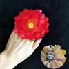 Danza Clásica: Entrando al Estanque de Lotos, Recogiendo Hojas de Loto, Flores de Loto, Frutos de Loto, Sosteniendo Accesorios, Anillos, Bandas Elásticas, Flores para Dedos y Muñecas