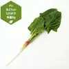 Venta al por mayor directa de fábrica de todo tipo de verduras de tacto de alta simulación PU verduras falsas PU simulación pepino col