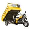 Motocicleta de Três Rodas Leão Dourado Transfronteiriça Gasolina Motor de Descarga Dianteiro Carga de Frete Agrícola Rei da Carga Triciclo