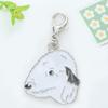 Nuevo Llavero Metálico Creativo de Nicho Perro Mascota Dibujo Animado Lindo Colgante Cierre de Langosta Encanto para Bolso Venta al por Mayor