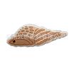 Helado de Playa Animal Marino Zapatos con Agujeros Accesorios DIY PVC Pegamento Suave Zapatos Flor Hebilla para Zapatos Accesorios para Zapatos Croc