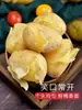 Gansu Dingxi Papa Superficie Arenosa Papa Corazón Amarillo Papa Vegetal Cultivada en Suelo Seco Arenoso Recién Desenterrada 4.5kg