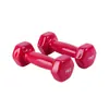 Equipamento de fitness doméstico hexagonal feminino com revestimento fosco e brilhante, halteres coloridos de ferro fundido revestidos, atacado transfronteiriço