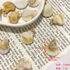 Concha de caracola marina acrílico cuentas sueltas DIY accesorios para joyería colgantes para pulseras hechas a mano materiales para colgante de cadena de teléfono