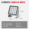 Foco Led Exterior Impermeable Ip67 Fábrica Luz de Relleno Nocturno Césped Verde Paisaje Foco Nuevo