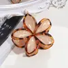 Nueva Pinza para el Cabello de Lirio Plumeria de Moda de Amazon Borde con Estampado de Leopardo Transparente Flor Tiburón Pinza para el Cabello