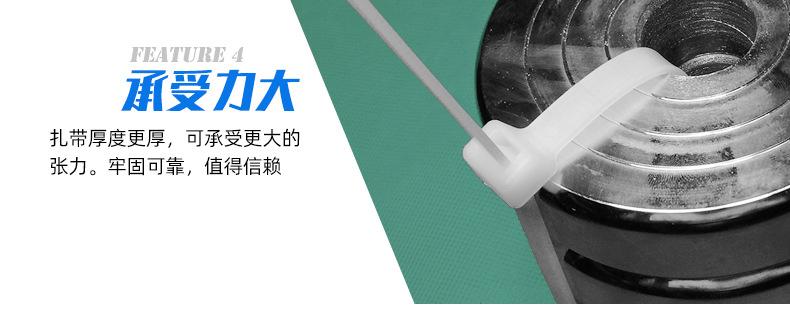 尼龙扎带_33